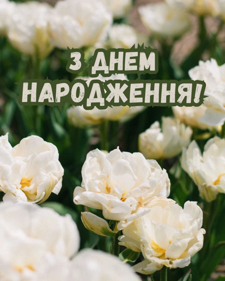 Білі квіти з привітанням з днем народження українською.