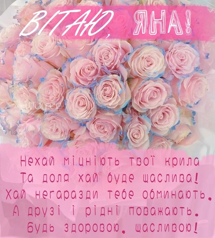 Розові троянди з привітанням Яні на день народження