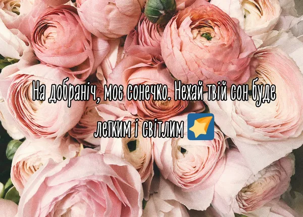 Розові квіти з українським побажанням на добраніч.